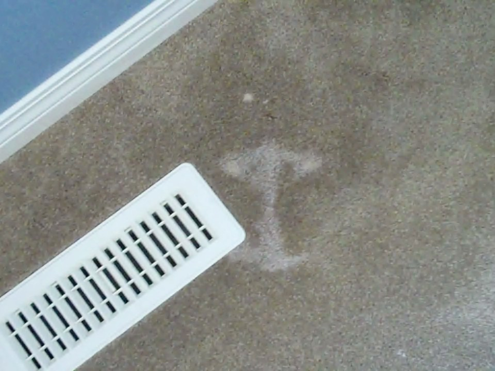 Before Iron Burn Damage on Very Expensive Imported Italian Carpet