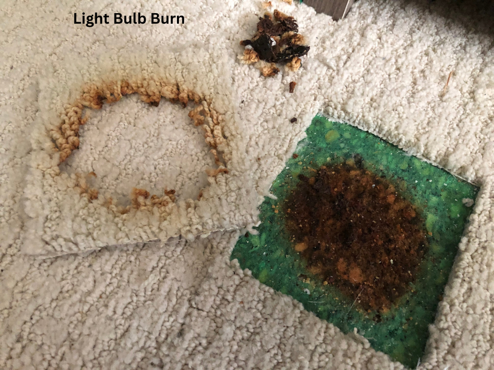 Before Iron Burn Damage on Very Expensive Imported Italian Carpet
