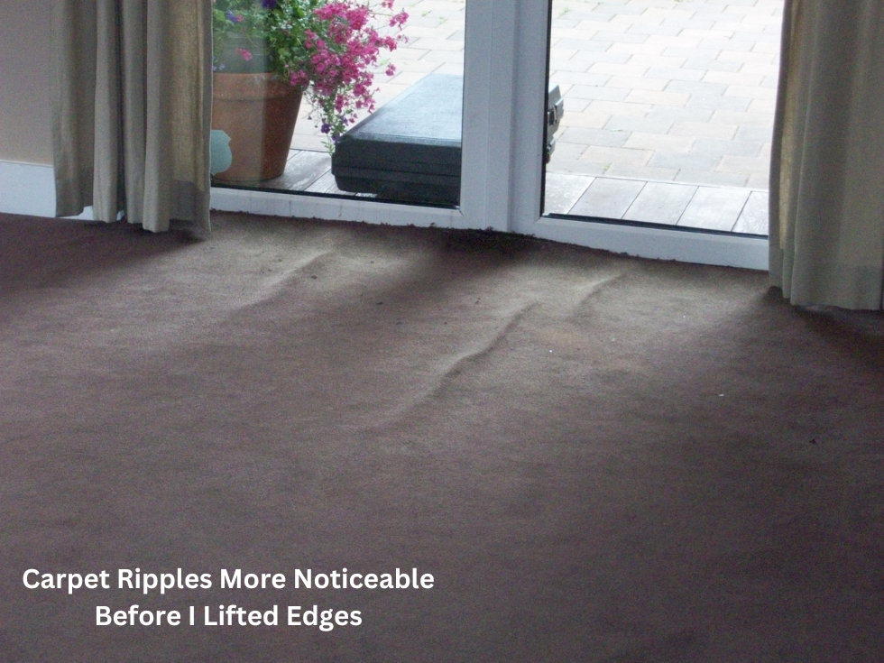 Before Iron Burn Damage on Very Expensive Imported Italian Carpet