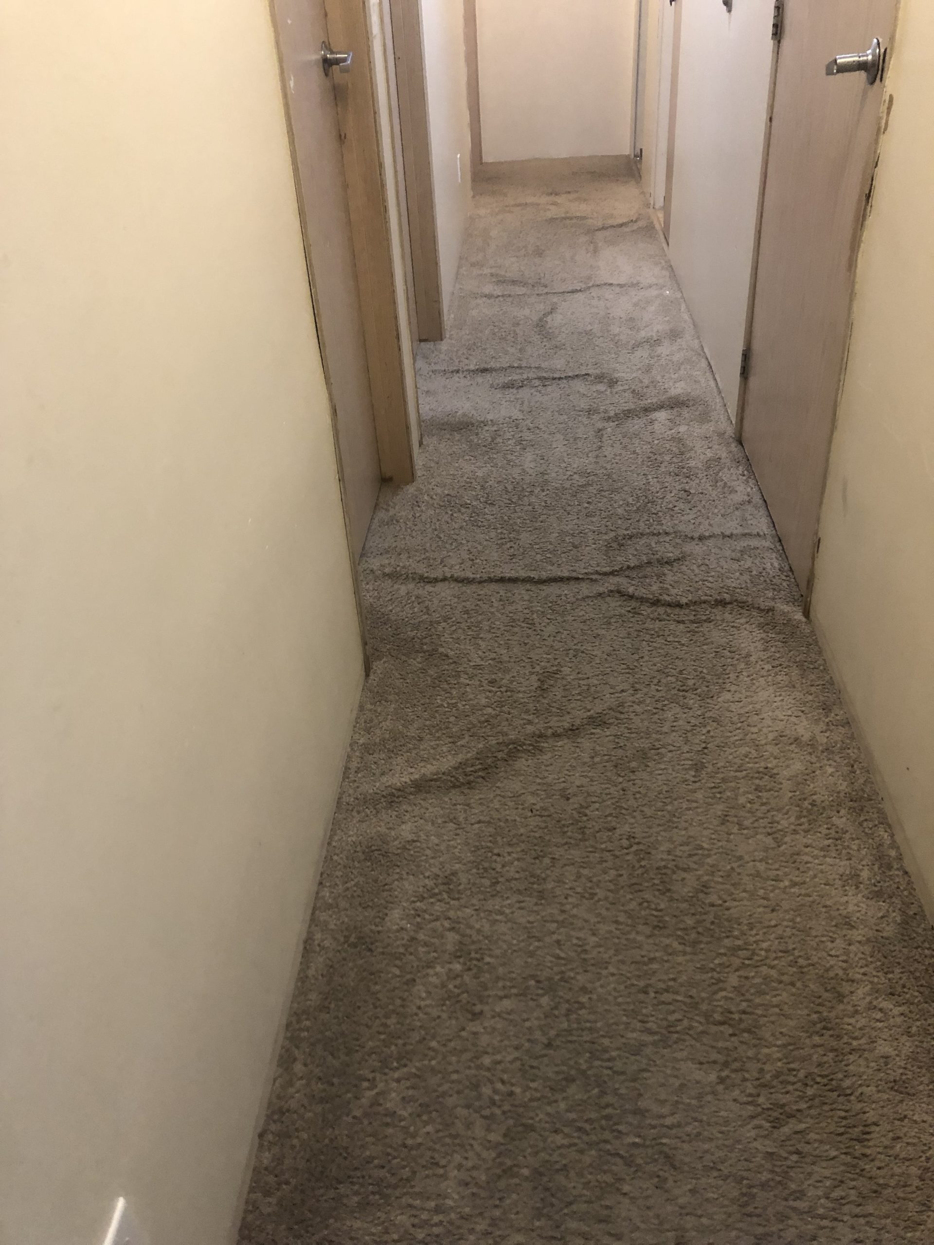 Before Iron Burn Damage on Very Expensive Imported Italian Carpet