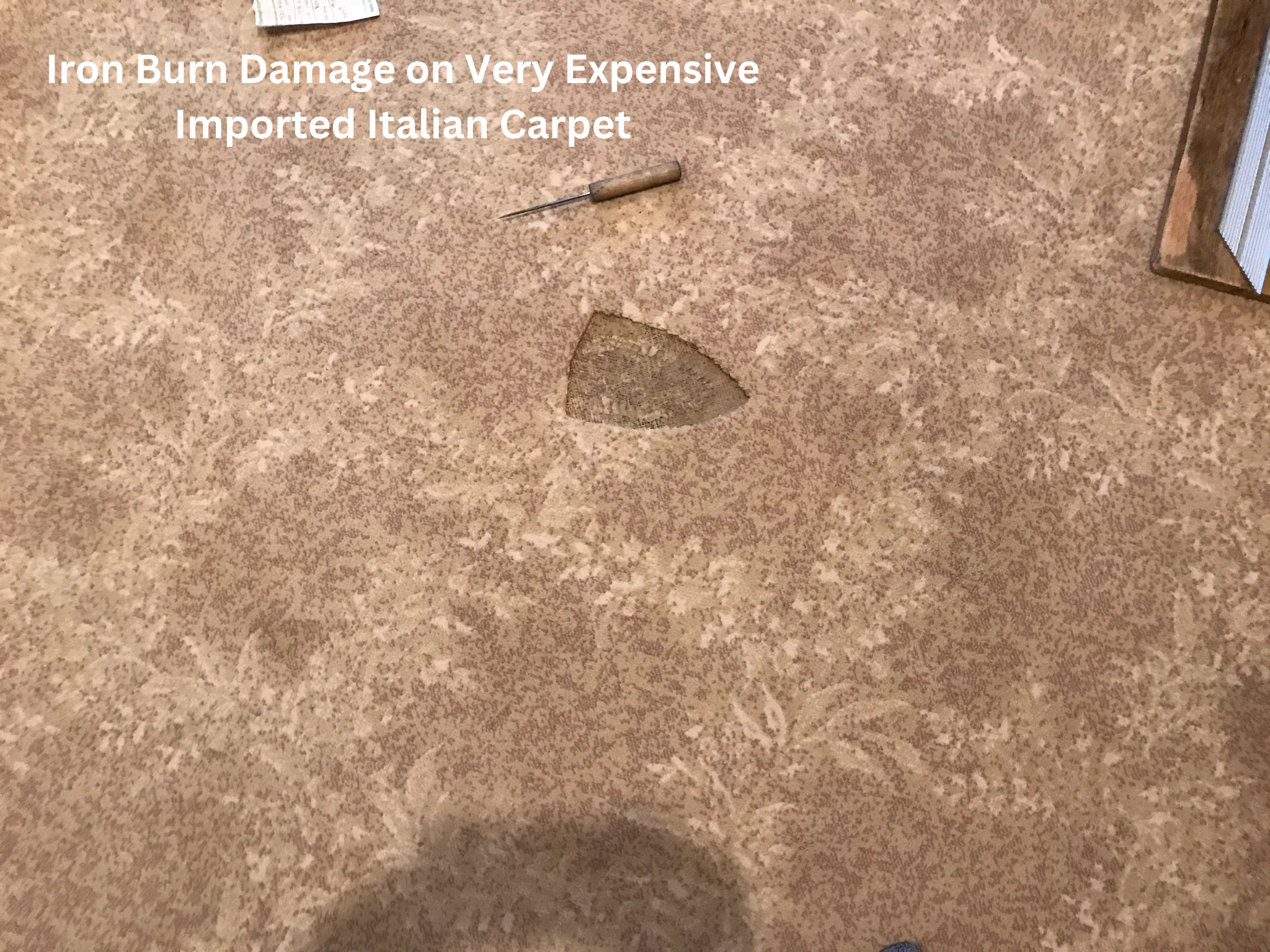 Before Iron Burn Damage on Very Expensive Imported Italian Carpet