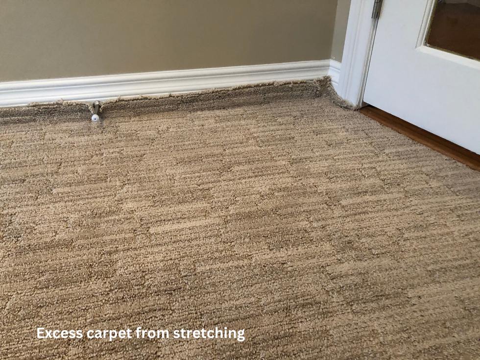 Before Iron Burn Damage on Very Expensive Imported Italian Carpet