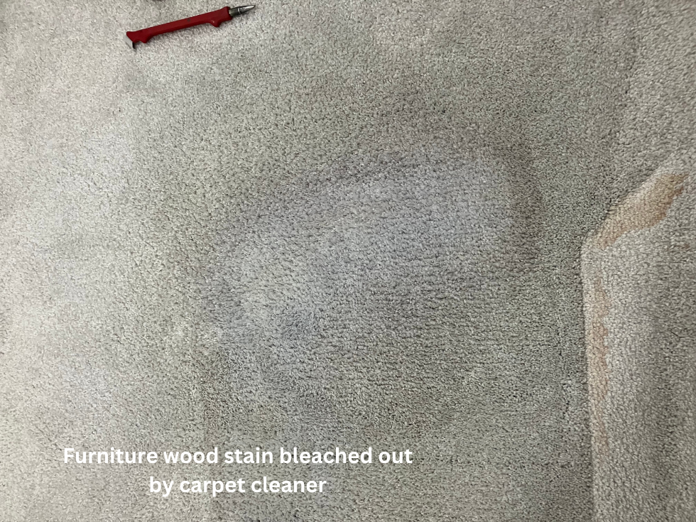Before Iron Burn Damage on Very Expensive Imported Italian Carpet