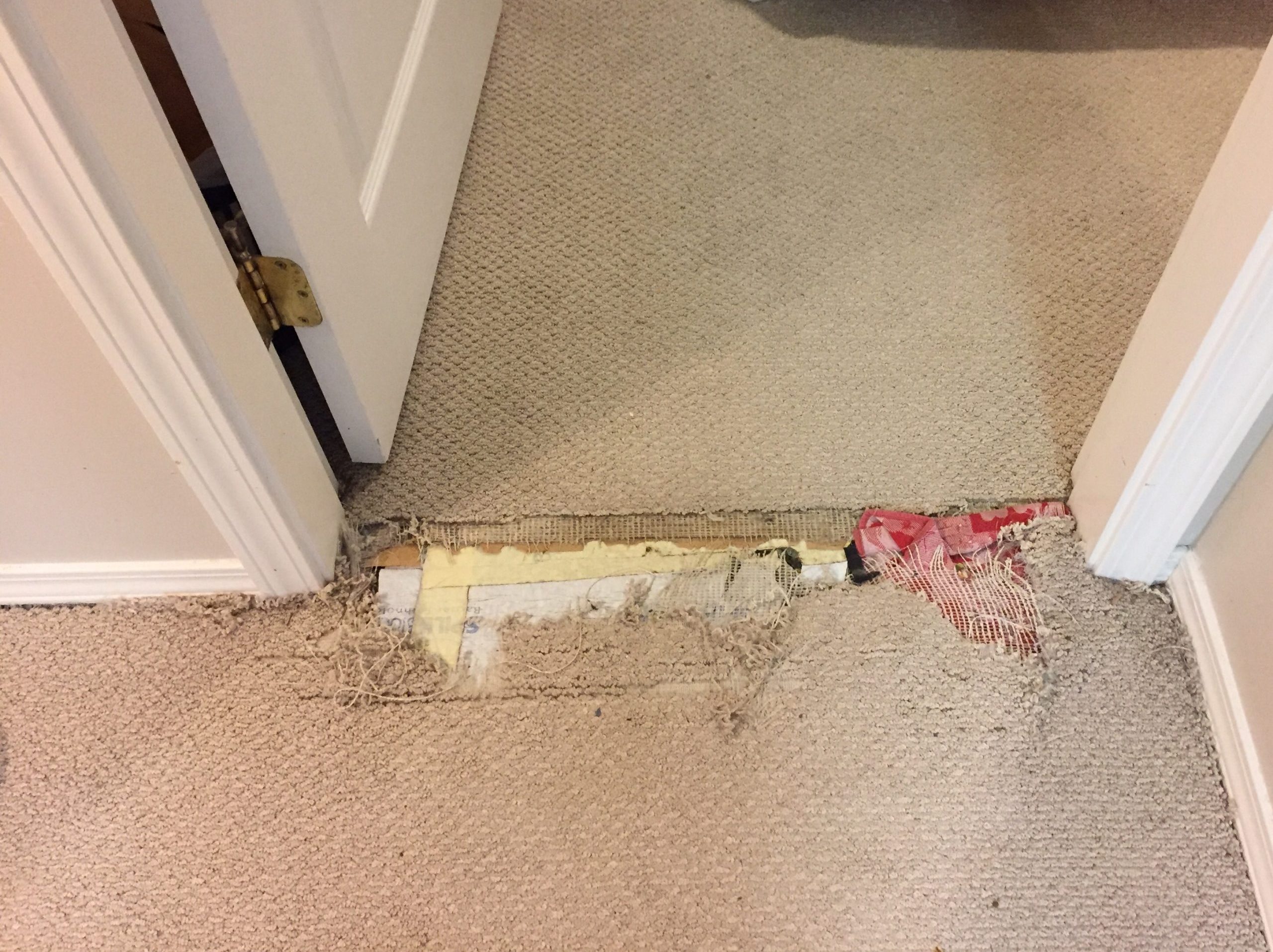 Before Iron Burn Damage on Very Expensive Imported Italian Carpet